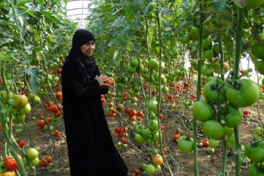 Asala preparing to launch InnovAgroWoMed project in agri-food sector to empower women   