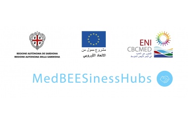  MedBEESinessHubs إطلاق مشروع 