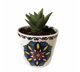 Ceramic plant pot