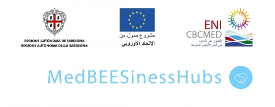  MedBEESinessHubs إطلاق مشروع 