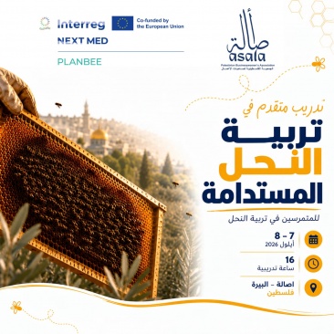 أصالة تنفذ تدريبًا متقدمًا حول تربية النحل المستدامة ضمن مشروع PLANBEE
